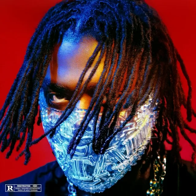 Koba LaD - Détail