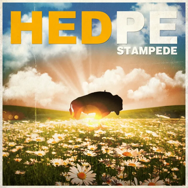 (Hed) P. E. - Stampede
