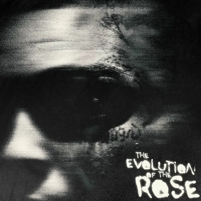 Lil Skies - The Evolution of the Rose