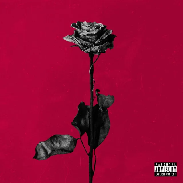 Blackbear - deadroses