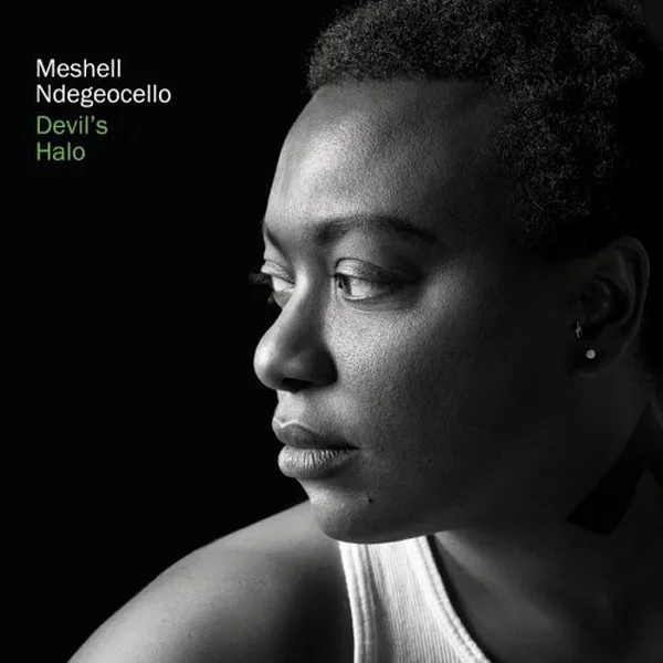 Me'Shell NdegéOcello - Devil’s Halo